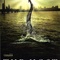 Affiche du film The Host - The Host 