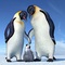 des-parents-et-leur-petit-jpg - Happy Feet 