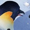 la-maitresse-et-un-pingouin-jpg - Happy Feet 