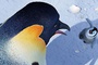 la-maitresse-et-un-pingouin-jpg
