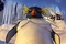 le-chef-des-pingouins-jpg