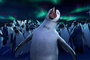 les-pingouins-chantent-jpg