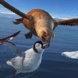 oiseau-vs-pingouin-jpg