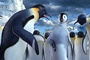 plusieurs-pingouins-jpg