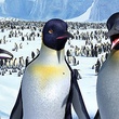 trois-pingouins-jpg