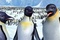 trois-pingouins-jpg