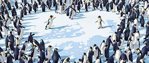 un-coeur-de-pingouins-jpg