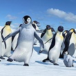 un-pingouin-danseur-jpg