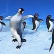 un-pingouin-qui-danse-et-chante-jpg