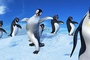 un-pingouin-qui-danse-et-chante-jpg