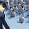 une-maitresse-et-ses-eleves-jpg - Happy Feet 