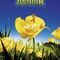 affiche teaser  france arthur et les minimoys - Arthur et les Minimoys 