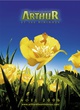 affiche teaser  france arthur et les minimoys