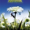 arthur et les minimoys affiche teaser - Arthur et les Minimoys 