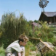 freddie highmore dans l herbe