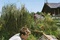 freddie highmore dans l herbe