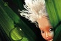 poster arthur and the minimoys