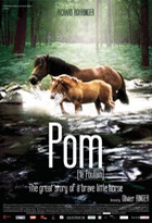 Affiche miniature du film Pom le poulain