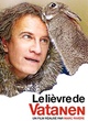 Affiche du film Le lièvre de Vatanen