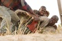 Djimon Hounsou 8 - Blood Diamond