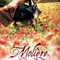 Affiche du film Molière - Molière 