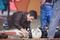 matt long