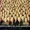 Affiche du film Dans la peau de John Malkovich - Dans la peau de John Malkovich 