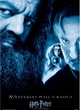 affiche harry potter et le prisonnier d azkaban 5