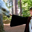 harr potter et le prisonnier d azkaban 18 - Harry Potter et le prisonnier d'Azkaban
