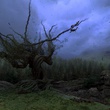 harr potter et le prisonnier d azkaban 20 - Harry Potter et le prisonnier d'Azkaban