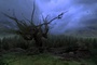 harr potter et le prisonnier d azkaban 20 - Harry Potter et le prisonnier d'Azkaban