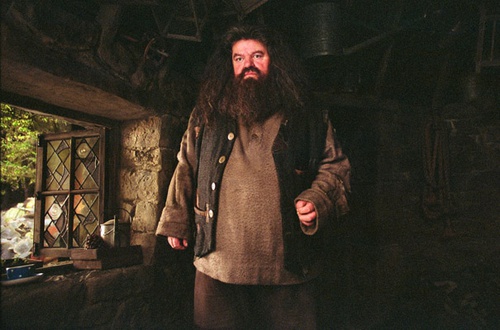 harr potter et le prisonnier d azkaban 33 - Harry Potter et le prisonnier d'Azkaban
