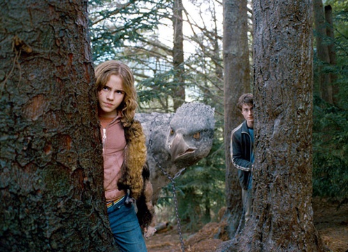 harr potter et le prisonnier d azkaban 36 - Harry Potter et le prisonnier d'Azkaban