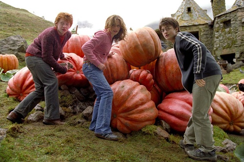 harr potter et le prisonnier d azkaban 37 - Harry Potter et le prisonnier d'Azkaban