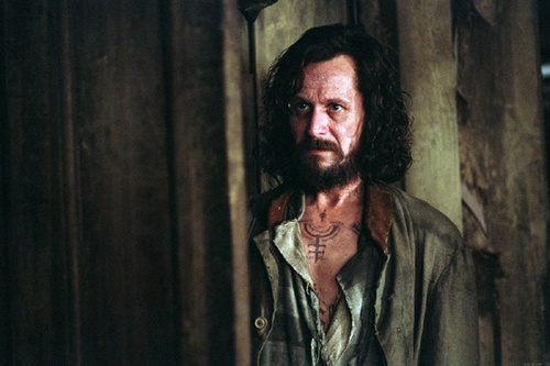 harr potter et le prisonnier d azkaban 53 - Harry Potter et le prisonnier d'Azkaban