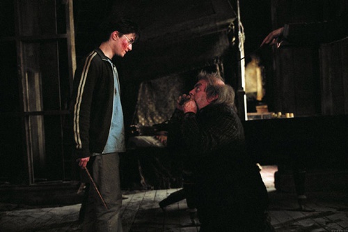 harr potter et le prisonnier d azkaban 63 - Harry Potter et le prisonnier d'Azkaban