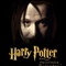 harr potter et le prisonnier d azkaban 84 - Harry Potter et le prisonnier d'Azkaban - Harry Potter et le prisonnier d'Azkaban 