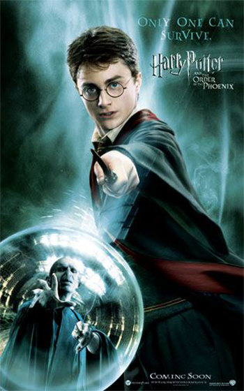 affiche du film harry potter harry et voldemort