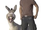 shrek le troisieme 22 - Shrek le troisième