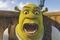 shrek le troisieme 66 - Shrek le troisième