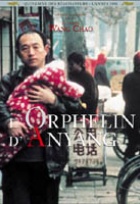 Affiche miniature du film L'orphelin d'Anyang