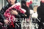Affiche du film L'orphelin d'Anyang