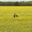 les vacances de mister bean 15 - Les vacances de Mister Bean