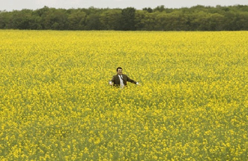 les vacances de mister bean 15 - Les vacances de Mister Bean