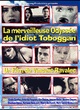 Affiche du film La merveilleuse odyssée de l'idiot toboggan 