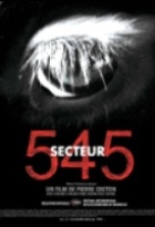 Affiche miniature du film Secteur 145
