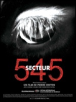 Affiche du film Secteur 145