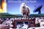 Affiche du film The Dish