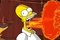 Homer