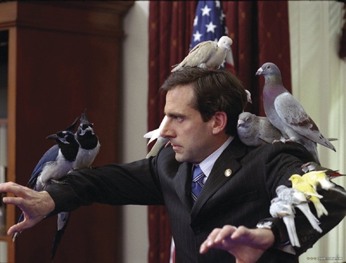 Steve Carell 8 - Evan Tout Puissant